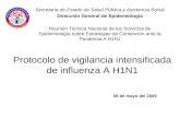 Protocolo de vigilancia intensificada de influenza A H1N1 Secretaría de Estado de Salud Pública y Asistencia Social Dirección General de Epidemiología.