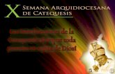 Introducción Presentaré a los distintos “Interlocutores” de la Catequesis como lo plantean los siguientes Documentos del Magisterio: 1.Directorio Catequístico.