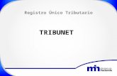 Registro Ú nico Tributario TRIBUNET. Procedimiento para la Inscripción electrónica Persona Jurídica en el Registro Único Tributario (RUT) Inscripción.