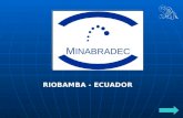 RIOBAMBA - ECUADOR. PETROBRAS ECUADOR TLC CORROSION Corrosión Ambiental. Se denomina corrosión ambiental al fenómeno de disgregación de la capa de laminación.