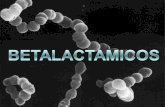 BETALACTAMICOS 1.Betalactámicos con importante y variada actividad antibacteriana. 2.Betalactámicos con escasa actividad antibacteriana, pero capaces.