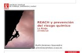 27/05/2010 REACH y prevención del riesgo químico La Rioja 27/05/10 Ruth Jiménez Saavedra ruth.jimenez@istas.ccoo.es 25/04/2015.
