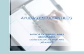 AYUDAS ESTUDIANTILES PATRICIA VILLARROEL ARIAS ORIENTADORA LICEO MAX SALAS MARCHAN LOS ANDES.
