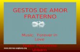GESTOS DE AMOR FRATERNO Music: Forever in Love Texto: Florentino Ulibarri .