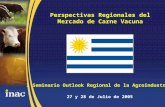 Perspectivas Regionales del Mercado de Carne Vacuna 27 y 28 de Julio de 2005 I Seminario Outlook Regional de la Agroindustria.