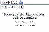 Tomás Flores Jaña Stgo., Marzo 27 de 2006 Encuesta de Percepción del Desempleo.