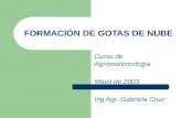 FORMACIÓN DE GOTAS DE NUBE Curso de Agrometeorología Mayo de 2003 Ing Agr. Gabriela Cruz.