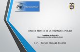 CONSEJO TÉCNICO DE LA CONTADURÍA PÚBLICA PRONUNCIAMIENTO 7 PRONUNCIAMIENTO SOBRE REVISORÍA FISCAL República de Colombia Ministerio de Educación Nacional.
