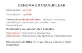 GENOMA EXTRANUCLEAR Mitocondria : mtDNA Cloroplasto : cpDNA Teoría de endosimbiontes: ancestro eucariote invadido por procariote (fotosintético o no fotosintético)