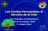 Las Caritas Parroquiales al Servicio de la Vida VIII Asamblea Arquidiocesana 29-30 de Agosto, 2009 P. Robert Flock.
