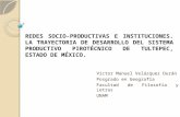 REDES SOCIO-PRODUCTIVAS E INSTITUCIONES. LA TRAYECTORIA DE DESARROLLO DEL SISTEMA PRODUCTIVO PIROTÉCNICO DE TULTEPEC, ESTADO DE MÉXICO. Víctor Manuel Velázquez.