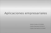 Aplicaciones empresariales Adrián Guillen 03-36008 Carlos Marcano 03-36137 Carlos Sanmartín 03-36487.