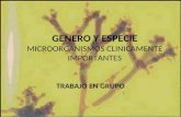 GENERO Y ESPECIE MICROORGANISMOS CLINICAMENTE IMPORTANTES TRABAJO EN GRUPO.