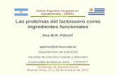 Workshop de Agroalimentos Buenos Aires, 25 y 26 de octubre de 2012 Las proteínas del lactosuero como ingredientes funcionales Ana M.R. Pilosof apilosof@di.fcen.uba.ar.