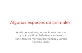Algunas especies de animales Aquí conocerás algunos animales que me gustan y a ti también te encantaran Por: Manuela Martínez Hernández y Lorena Laverde.