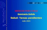 MEDICOS PARA CHILE Seminario Sofofa Salud: Tareas pendientes Julio 2004.
