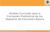 Modelo Curricular para la Formación Profesional de los Maestros de Educación Básica.
