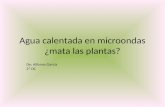 Agua calentada en microondas ¿mata las plantas? De: Alfonso García 2º DC.