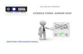 CONSULTORIA JUNIOR 2014 GESTION ORGANIZACIONAL Escuela de Industrias.