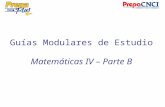 Guías Modulares de Estudio Matemáticas IV – Parte B.