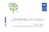 Guía Metodológica : Valor Económico de Biodiversidad y Servicios Eco-sistémicos Raúl O’Ryan Coordinador Medio Ambiente PNUD Chile.
