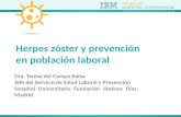 Dra. Teresa del Campo Balsa Jefe del Servicio de Salud Laboral y Prevención Hospital Universitario Fundación Jiménez Díaz, Madrid Herpes zóster y prevención.