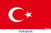 TURQUÍA La República de Turquía, o simplemente Turquía (Türkiye) en idioma turco, está situada entre Asia (97% de su territorio) y Europa (3% de su territorio).
