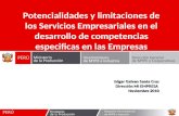 Despacho Viceministerial de MYPE e Industria 1 Potencialidades y limitaciones de los Servicios Empresariales en el desarrollo de competencias especificas.