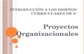 I NTRODUCCIÓN A LOS D ISEÑOS C URRICULARES DE 6° Proyectos Organizacionales.