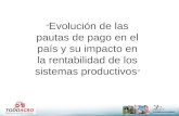 “ Evolución de las pautas de pago en el país y su impacto en la rentabilidad de los sistemas productivos ”