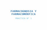 FARMACOGNOSIA Y FARMACOMÓRFICA PRACTICA Nº 1. FARMACIA Arte y ciencia que comprende la preparación y dispensación de medicamentos, utilizando los conocimientos.