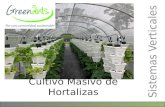 Sistemas Verticales Cultivo Masivo de Hortalizas.