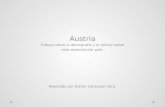 Austria Trabajo sobre la demografía y el relieve sobre este espectacular país. Realizado por Esther Cabezudo Vera.