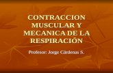 CONTRACCION MUSCULAR Y MECANICA DE LA RESPIRACIÓN Profesor: Jorge Cárdenas S.
