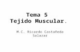 Tema 5 Tejido Muscular. M.C. Ricardo Castañeda Salazar.