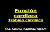 Función cardiaca Trabajo cardiaco DRA. PAMELA JORQUERA TORRES.