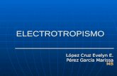 ELECTROTROPISMO López Cruz Evelyn E. Pérez García Marissa MB.