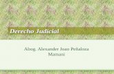 Derecho Judicial Abog. Alexander Joao Peñaloza Mamani.