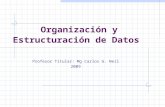Organización y Estructuración de Datos Profesor Titular: Mg Carlos G. Neil 2009.