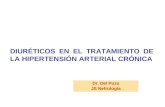 DIURÉTICOS EN EL TRATAMIENTO DE LA HIPERTENSIÓN ARTERIAL CRÓNICA Dr. Del Pozo JS Nefrología.