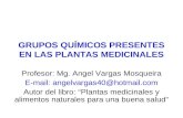 GRUPOS QUÍMICOS PRESENTES EN LAS PLANTAS MEDICINALES Profesor: Mg. Angel Vargas Mosqueira E-mail: angelvargas40@hotmail.com Autor del libro: “Plantas medicinales.