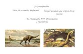 Sexta extinción Tasa de recambio desfasada Mayor pérdida que origen de sp nuevas Ej. Extinción K-T: Dinosaurios / Mamíferos.