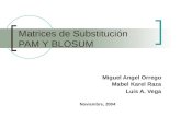 Matrices de Substitución PAM Y BLOSUM Miguel Angel Orrego Mabel Karel Raza Luis A. Vega Noviembre, 2004.