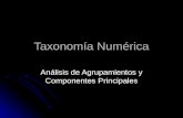 Taxonomía Numérica Análisis de Agrupamientos y Componentes Principales.