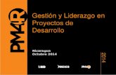 Gestión y Liderazgo en Proyectos de Desarrollo 2014 Comunicación Efectiva Nicaragua Octubre 2014.