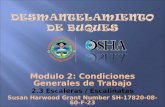 Modulo 2: Condiciones Generales de Trabajo 2.3 Escaleras / Escalinatas Susan Harwood Grant Number SH-17820-08-60-F-23.