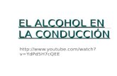 EL ALCOHOL EN LA CONDUCCIÓN  dPd5H7cQEE.