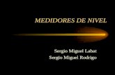 MEDIDORES DE NIVEL Sergio Miguel Labat Sergio Miguel Rodrigo.