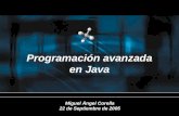 Programación avanzada en Java Miguel Ángel Corella 22 de Septiembre de 2005.