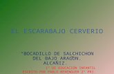 EL ESCARABAJO CERVERIO “BOCADILLO DE SALCHICHON DEL BAJO ARAGON. ALCAÑIZ.” 1º DE EDUCACIÓN INFANTIL ESCRITO POR PABLO BERENGUER 2º PRI.